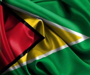 пазл Флаг Гайаны